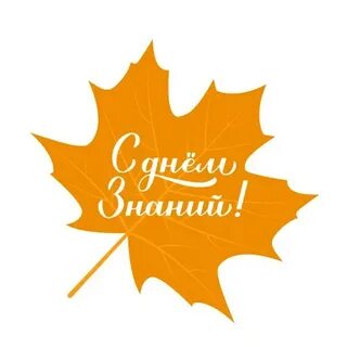 https://avatars.mds.yandex.net/i?id=ac70ad643f58ca0d8e96552d31619682dd2c7ab3-16456753-images-thumbs&n=13