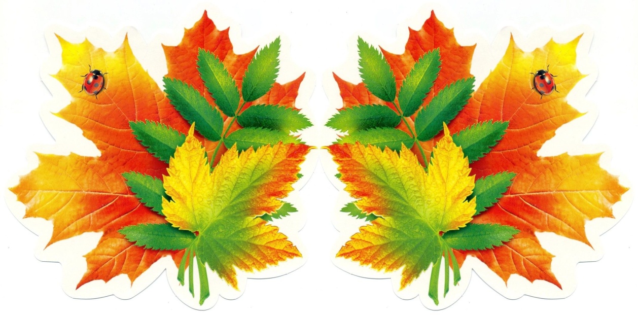 Picture background