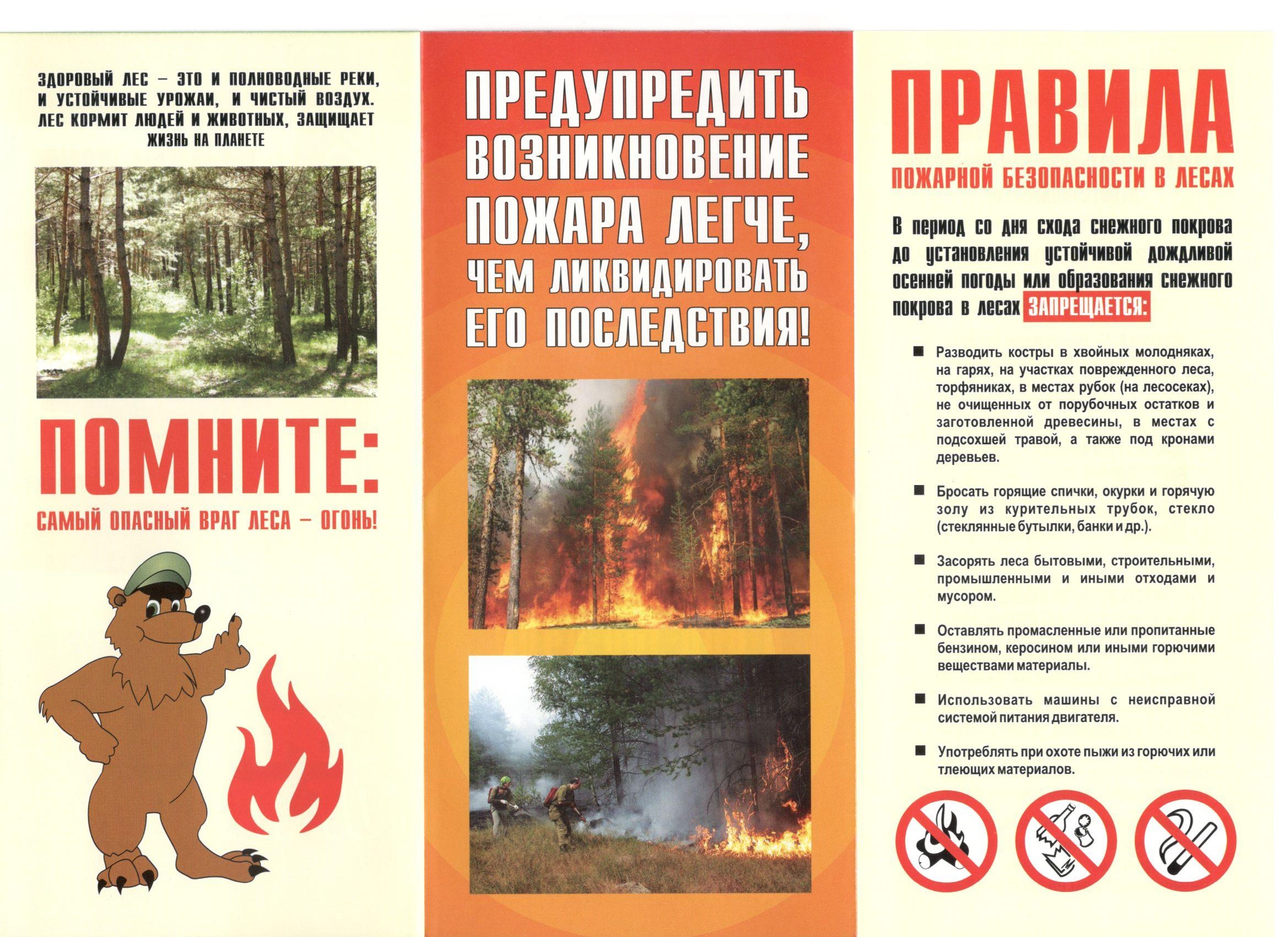 Дистанционные методы мониторинга и предупреждения лесных пожаров